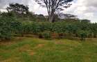 100 ac Land at Kiambu Road - 1