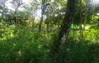 0.5 ac Land in Karen - 6