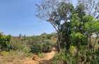 1 ac Land at Mtwapa Creekside - 6