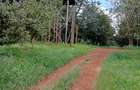 0.125 ac Land at Thika Grove Chania-Opposite Blue Post Hotel - 12