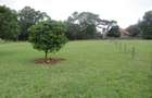 Land at Off Dagoretti Rd - 2