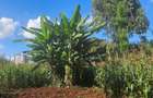 0.25 ac Residential Land in Ruaka - 3