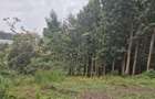 0.25 ac Land in Ruaka - 3