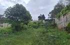 0.5 ac Residential Land at Runda - 7