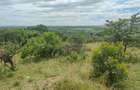 Land in Narok - 10