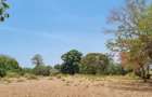 75 ac Land at Vipingo - 2