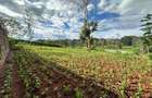 Land in Thika - 2