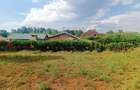 1,000 m² Residential Land at Karie - 4