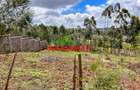 0.05 ha Residential Land in Kamangu - 2