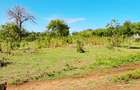 Land in Kikambala - 1