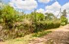 Residential Land at Ole Pasha Drive - 9