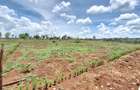 Residential Land at Runda Gardens - 5