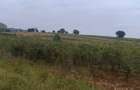 Land in Thika Road - 11