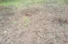 0.113 ac Land in Ngong - 10