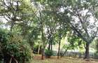 2 ac Land at Lantana Road - 13