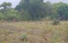 2.8 ha Commercial Land at Tiwi - 19