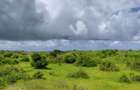 12 ac Land in Watamu - 16