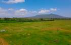Residential Land in Naivasha - 6