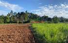 6,000 m² Land in Limuru - 8