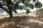 10,000 ft² Land in Vipingo - 9