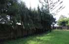 Residential Land in Lavington - 5