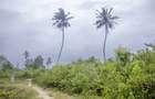 5,000 ac Residential Land in Diani - 7