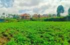 1,000 m² Residential Land at Riu-Nderi - 5