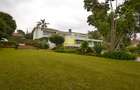 Office with Backup Generator in Lavington - 5