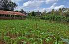 0.5 ac Residential Land in Karen - 1