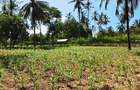 Land at Kilifi Tezo - 15