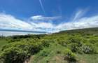 21.1 ac Land in Naivasha - 11