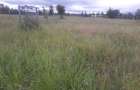 0.113 ac Residential Land in Ongata Rongai - 8