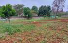 Residential Land at Pan African Insurance Avenue - 5