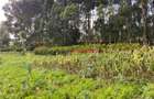 4,000 m² Land in Limuru - 12