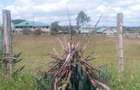 0.45 ha Land at Mutungoni Road - 3