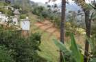 Land at Wundanyi - 2
