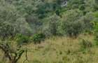 Land in Narok - 12