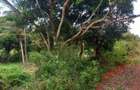 6 ac Land at Msambweni - 2