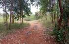 Land in Murang'a County - 11