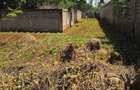 0.25 ac Land at Nyati Drive - 2