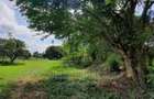 46 ac Land at Greenwood Mtwapa - 11