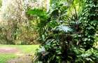 4 Bed Townhouse with En Suite at Kileleshwa - 4