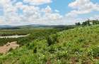 Land at Mtwapa Mtepeni - 4