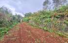 1 ac Land at Runda Groove - 4