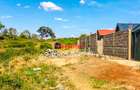 0.125 ac Land in Thika - 7