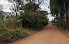 0.5 ac Land in Ruaka - 4
