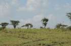 5 ac Land at Oloilalei - 8