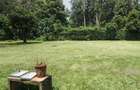 4 Bed Townhouse with En Suite in Spring Valley - 15