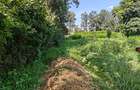 1.1 ac Land in Karen - 11