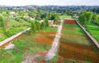 0.05 ha Residential Land at Ondiri - 2